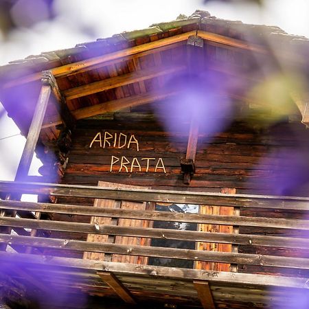 Korn-Stadel Arida Prata "Natur Pur" غراشن المظهر الخارجي الصورة